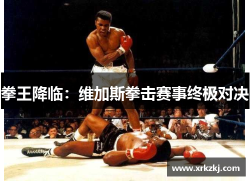 拳王降临：维加斯拳击赛事终极对决